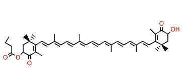 3,3'-Dihydroxy-beta,beta-carotene-4,4'-dione 3-ester